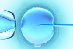 Fertilização in Vitro (FIV)