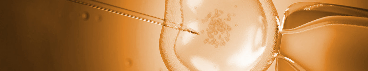 Fertilização In Vitro