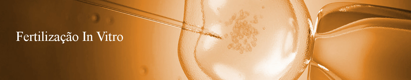 Fertilização in Vitro (FIV)