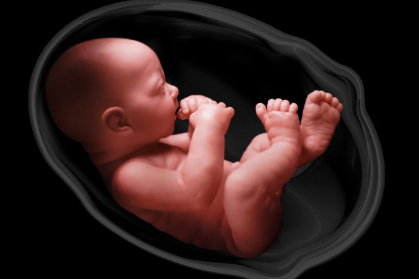 Abortamento medicina fetal