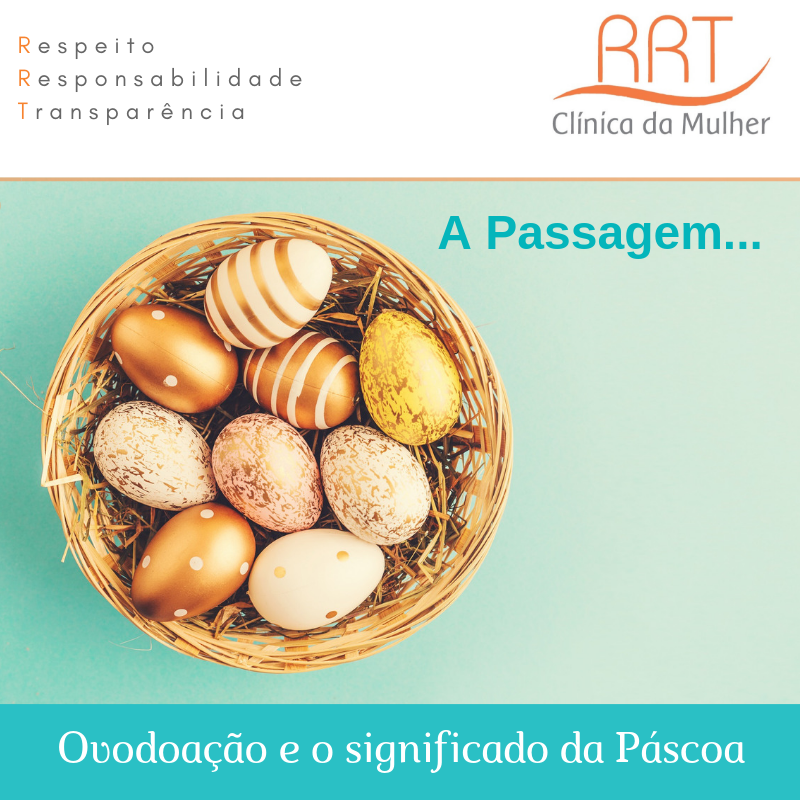 doação de óvulos no brasil